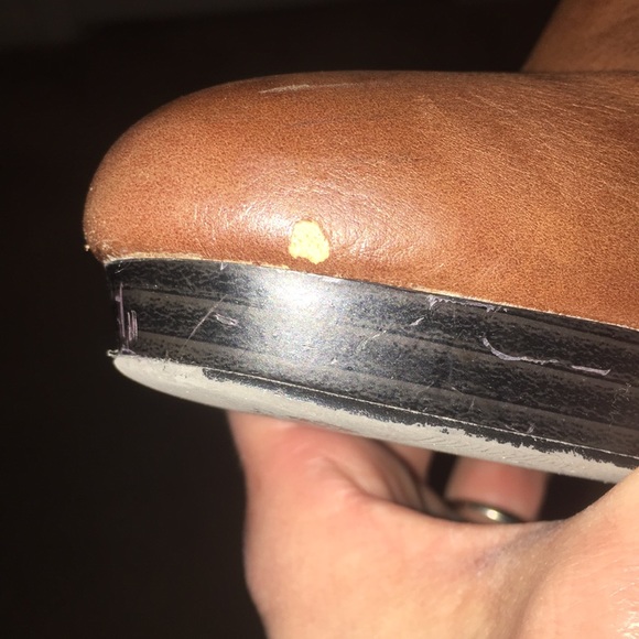 Jasmin - Picture 8 of 8